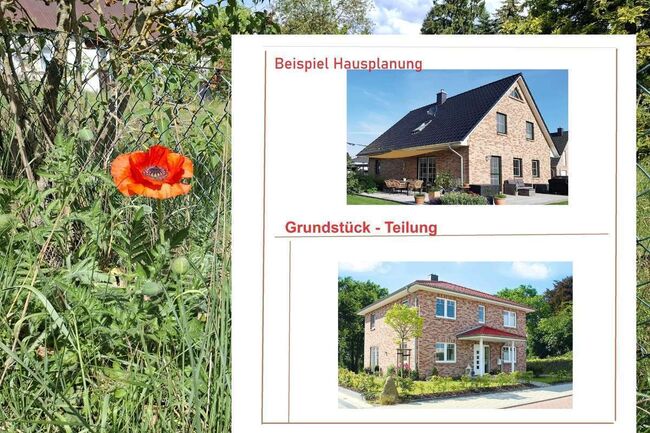 Grundstück BAUTEAM Hausplanung