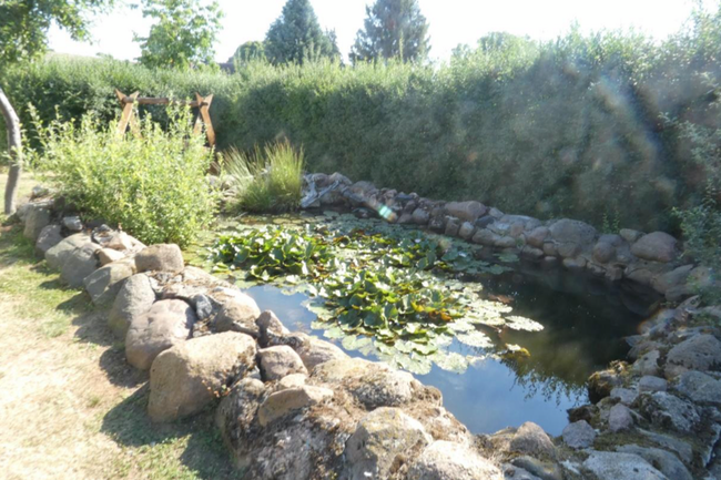 Teich