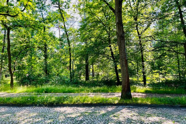 Messelpark 